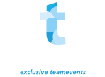 Teamedia Logo